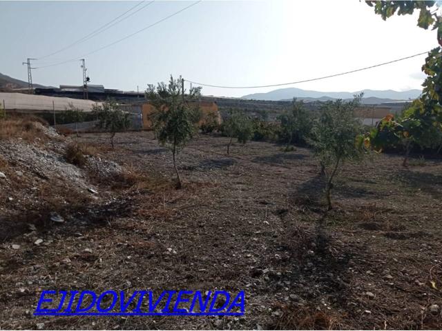 TERRENO CON CORTIJO photo 0