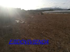 Terreno en venta en Centro photo 0