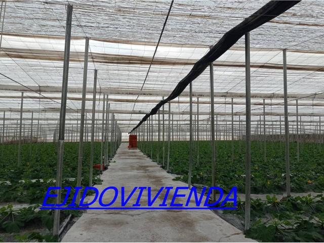INVERNADERO photo 0