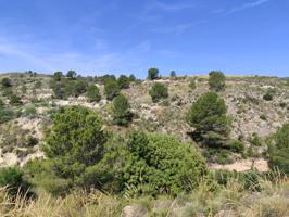 ¡Oportunidad Única! Finca de 55.000 m² en Yéchar con Vistas Panorámicas photo 0