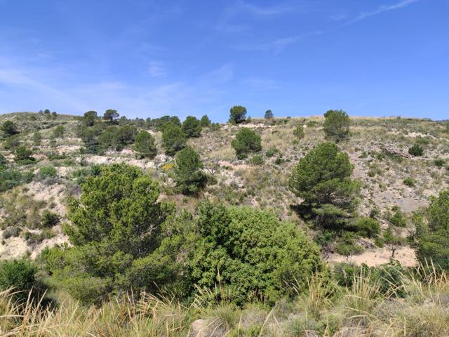 ¡Oportunidad Única! Finca de 55.000 m² en Yéchar con Vistas Panorámicas photo 0