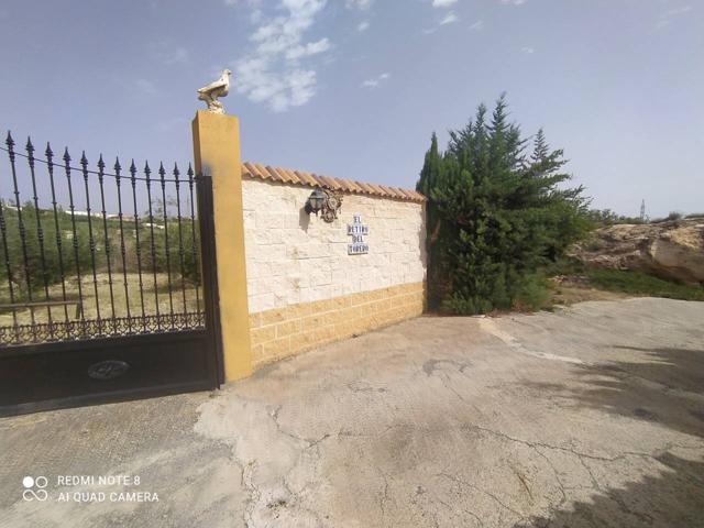 Oportunidad de Parcela con vivienda y plantación de variedad de frutales y olivos. photo 0