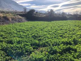 Terreno en venta en DÚRCAL photo 0