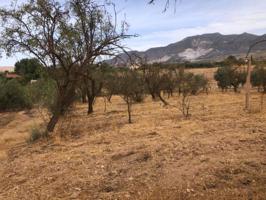 Terreno en venta en DÚRCAL photo 0