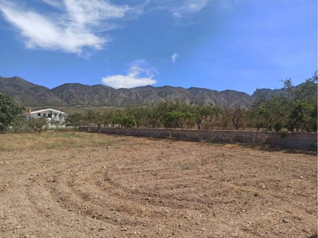 Terreno en venta en MARCHENA photo 0