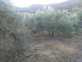 FINCA EN SALERES photo 0