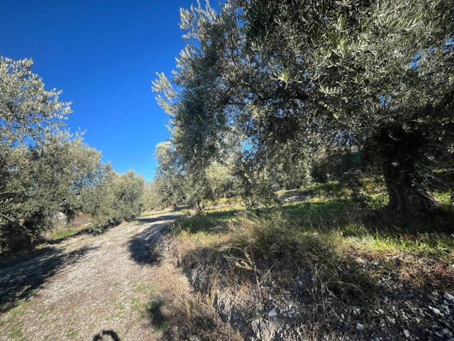 FINCA RUSTICA EN DURCAL photo 0