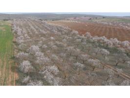 FINCA RUSTICA EN PADUL photo 0