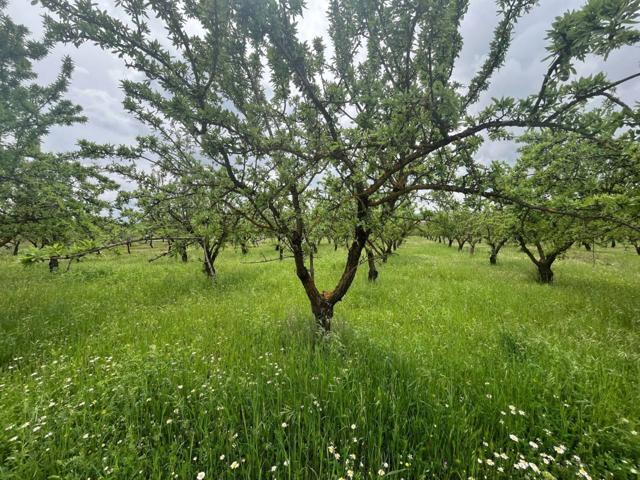 FINCA CON CORTIJO EN COZVIJAR photo 0
