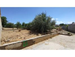 FINCA RUSTICA EN DURCAL photo 0