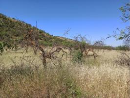 FINCA EN DURCAL photo 0