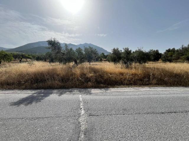 TERRENO RUSTICO EN DURCAL photo 0