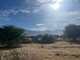 FINCA RUSTICA EN DURCAL photo 0