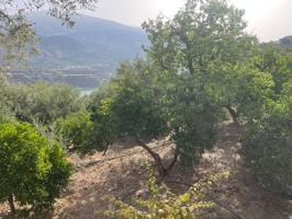 FINCA RUSTICA EN PINOS DEL VALLE photo 0