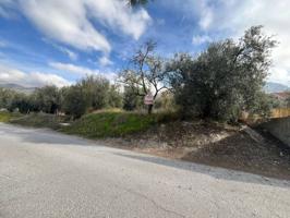 FINCA EN DURCAL photo 0