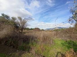 FINCA RUSTICA EN DURCAL photo 0