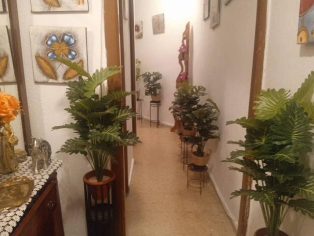 Piso en venta en L'Illa Perduda(46022) photo 0