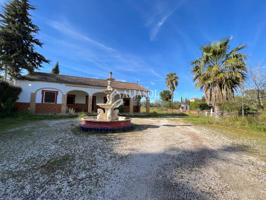 Terreno en venta en Bollullos de la Mitación photo 0