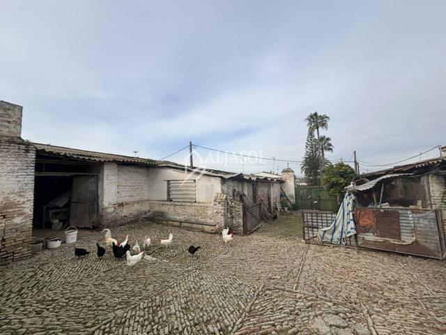 Terreno en venta en Salteras photo 0