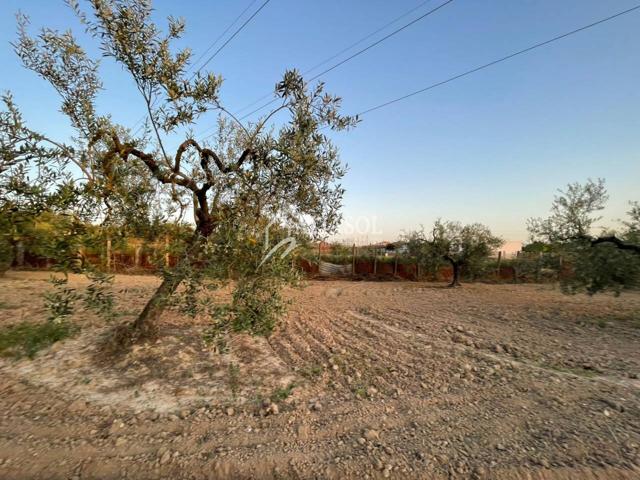 Terreno en venta en Salteras photo 0