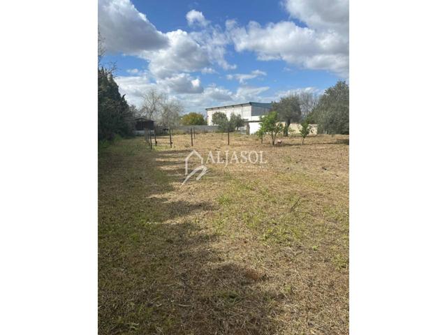 Terreno en venta en Palomares del Río photo 0