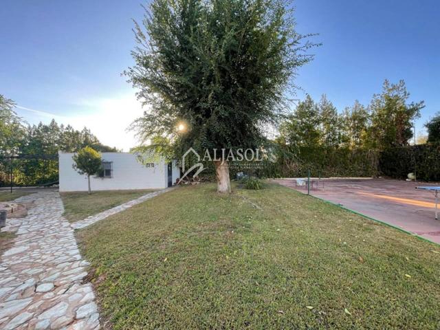 Terreno en venta en Palomares del Río photo 0