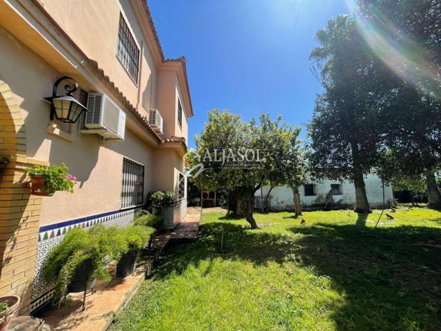 Terreno en venta en Sanlúcar la Mayor photo 0