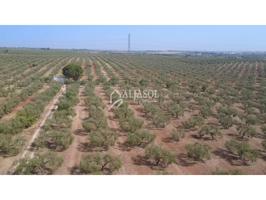 Terreno en venta en Bollullos de la Mitación(41110) photo 0