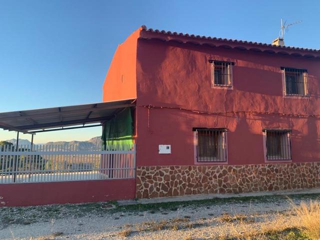 CASA CON TERRENO EN EL VALLE DE RICOTE photo 0