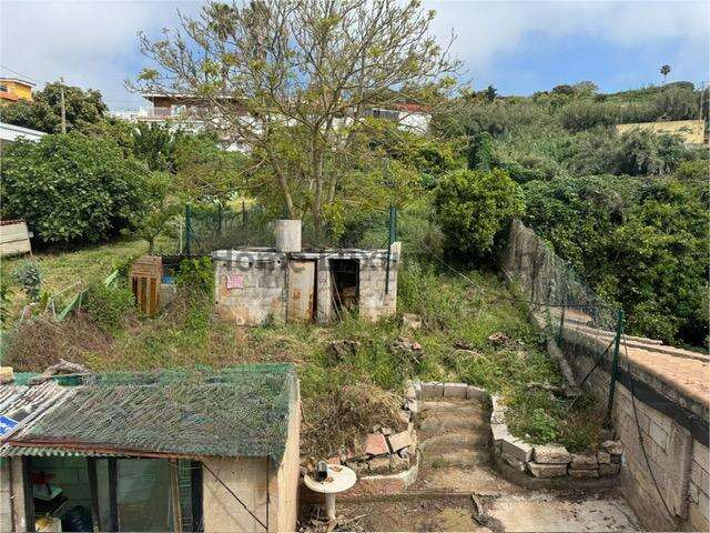 OPORTUNIDAD! CASA CON TERRENO + LOCAL DE 113M2   EN TACORONTE photo 0