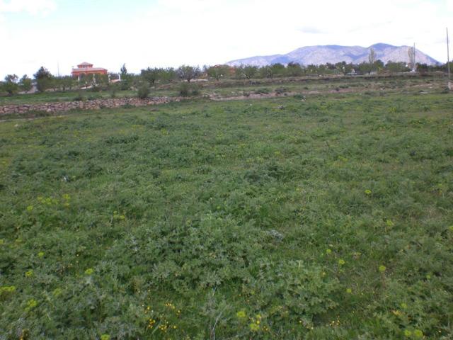 Finca-Parcela en venta Navares - Caravaca de la Cruz - photo 0