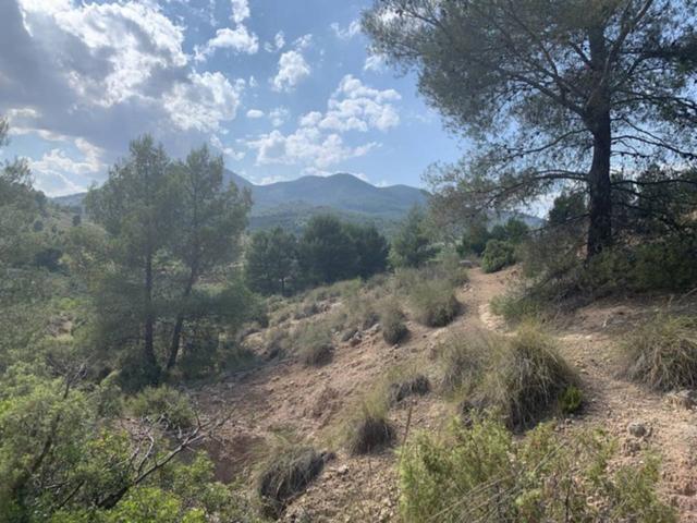 Finca rustica en venta en Caravaca de La Cruz photo 0