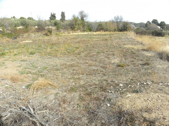 Parcela en venta en MAYRENA photo 0