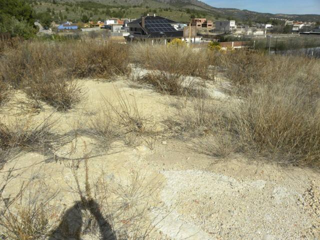 Parcela en venta en Caravaca de La Cruz photo 0
