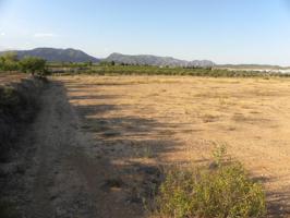 Terreno en venta en PEDANIAS Y NOROESTE photo 0