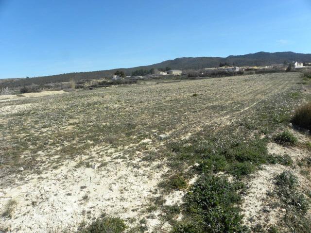 Parcela en venta en PEDANIAS Y NOROESTE photo 0
