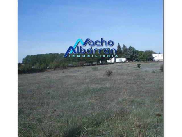 TERRENO EN VENTA EN LA DEHESILLA DE CALAMON photo 0