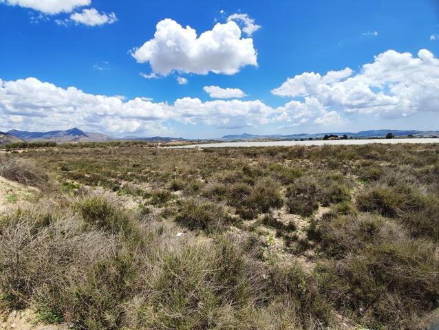 PARCELAS EDIFICABLES PTDA. HORNA ALTA photo 0