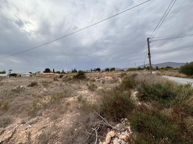 PARCELA PARA EDIFICAR UN CHALET DE 10.000M2. 60.000-€ photo 0