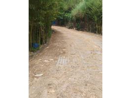 Terreno en venta en San Roque photo 0