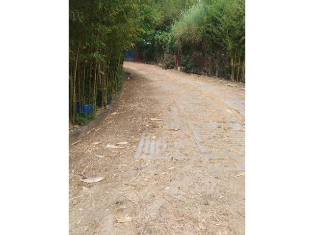 Terreno en venta en San Roque photo 0