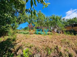 OPORTUNIDAD!!! SE VENDE FINCA URBANIZABLE EN PARADA DE AL¡MOEIRO photo 0