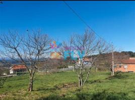 FINCA EN CELANOVA photo 0