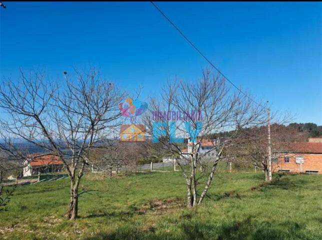 FINCA EN CELANOVA photo 0