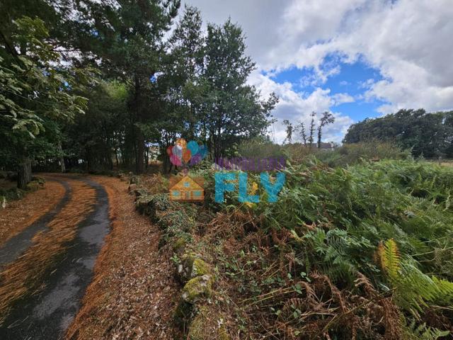 SE VENDE TERRENO EN PADERNE DE ALLARIZ photo 0
