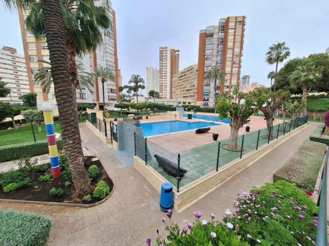 APARTAMENTO EN VENTA CON TERRAZA ABIERTA Y ZONAS COMUNES CON PISCINAS Y PARKING. ZONA PONIENTE photo 0