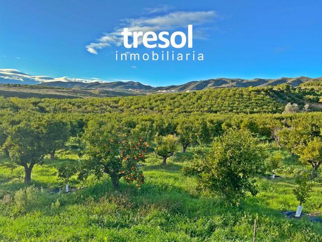 Terreno Urbanizable En venta en Alhaurín de la Torre photo 0
