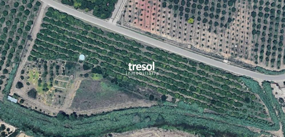 Terreno Urbanizable En venta en Alhaurín de la Torre photo 0