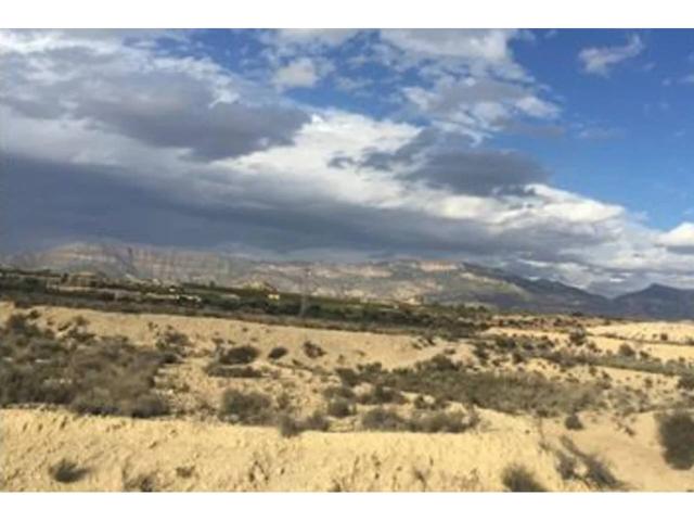 SUELO URBANIZABLE EN LOS JUNCOS-ULEA-MURCIA photo 0