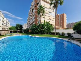 OPORTUNIDAD photo 0